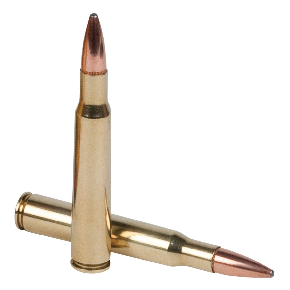 Federal_Fusion-Cartridges.jpg